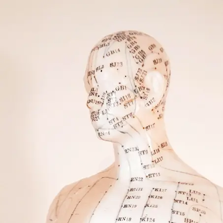 Atelier sur les points d’acupuncture essentiels