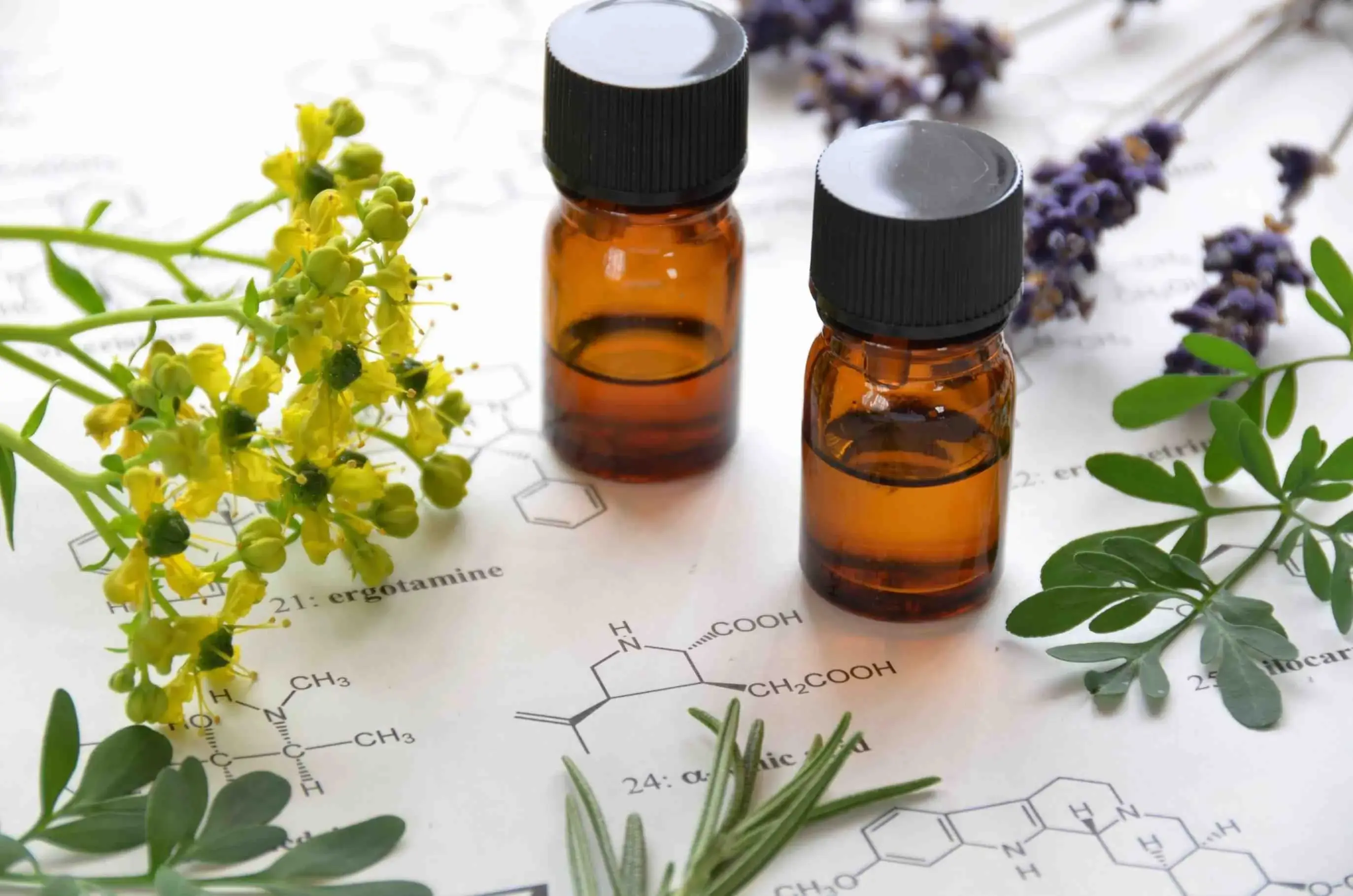 Atelier approfondissement des huiles essentielles