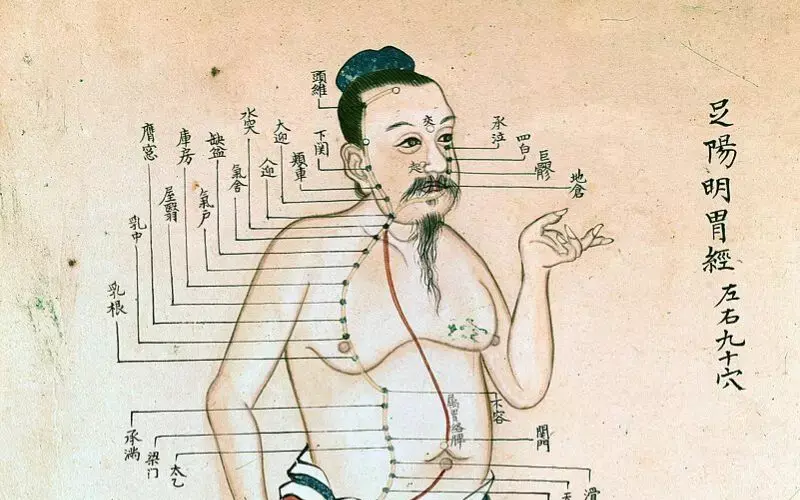 Initiation à la médecine traditionnelle chinoise